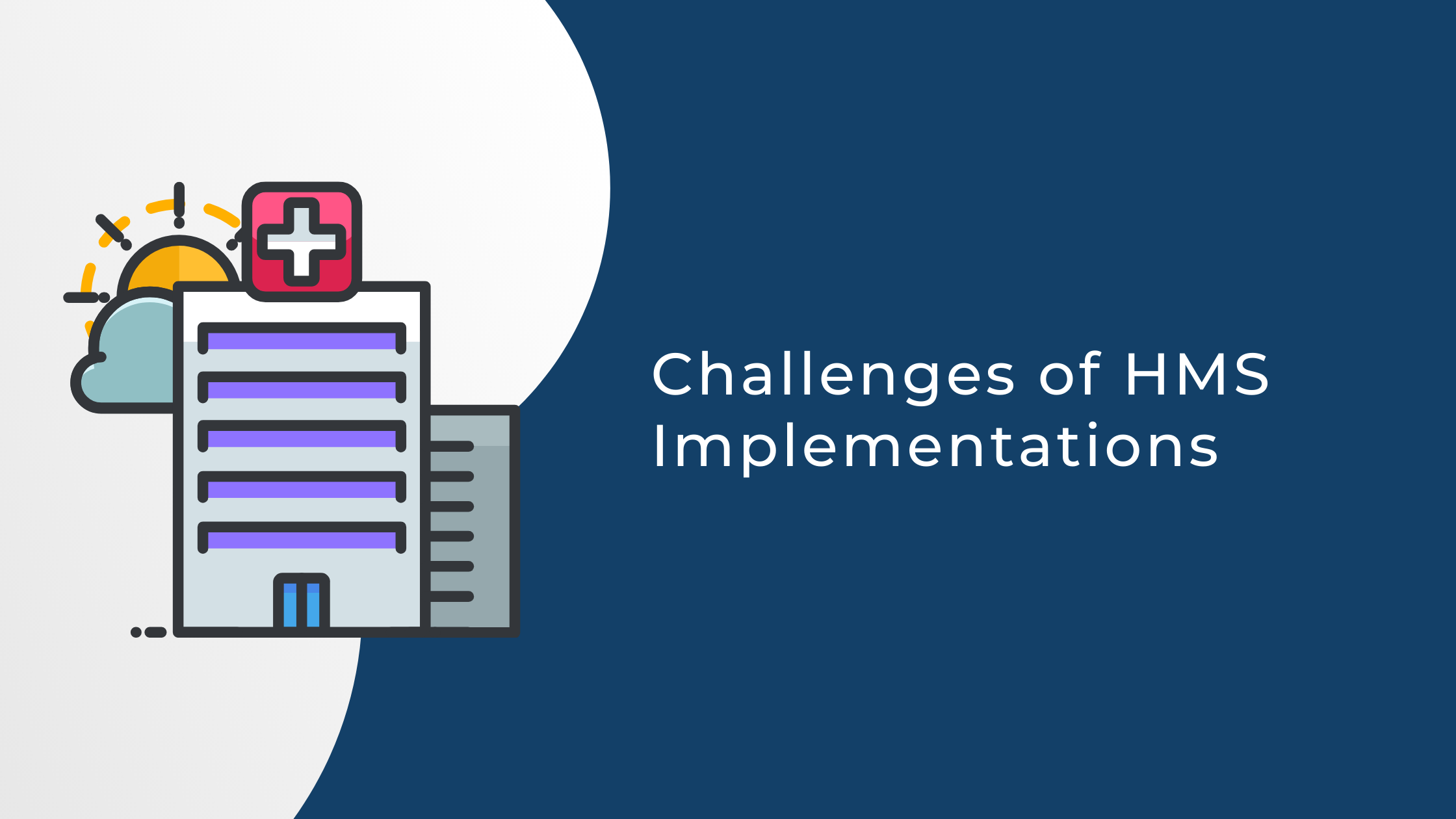 Challenges of Hospital Management Software Implementations at Clinics